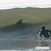 jovicama chico casado en Valencia