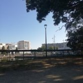 Una mujer con buenos sentimientos.