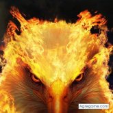 danicornejo chico soltero en Campeche