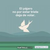 Chatear con johnalbert9129 de La Victoria