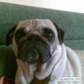 alexsbd chico soltero en Sabadell