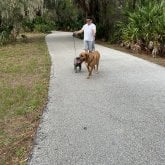 Busco conocer gente. Amistad y pasar un