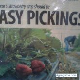 carlosvali chico soltero en Spartanburg