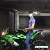 Busco ligar. Las motos, los gatos,