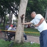 Busco conocer gente. El deporte.