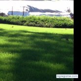 pierMarc96 chico soltero en Morris