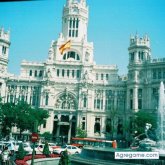 Chatear con MAFAS de Inglaterra