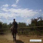 FerRodriguezP foto #7
