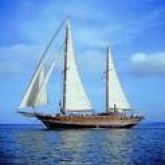 moicano4891 chico soltero en Málaga