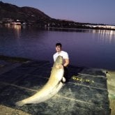 Conducteur. Busco mujer guapa rica edad