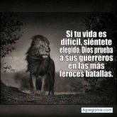 Chatear con Willier de Santa Rosa De Lima