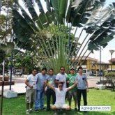 Chatear con melquiadessanchez de Roboré