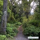 Gabe1313 chico separado en 