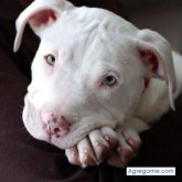 ruly chico soltero en Quilmes