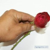 Chatear con ToyHistory de Arroyo Naranjo