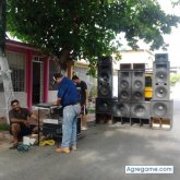 flowers chico soltero en El Nula