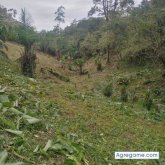 Keenry chico soltero en Puerto Cortez