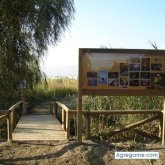 bikeman chico casado en Motril