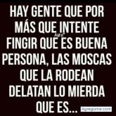 Refujiodomingez