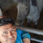 robertovaldes