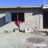 mikilo chico separado en Milagro