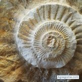 Lucperrier chico soltero en 