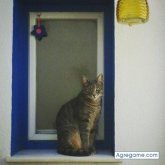 Foto de perfil de Tete37