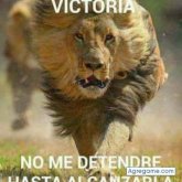 Carlospotro