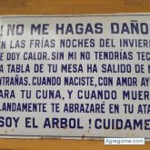 Adolfo