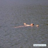 micke1982 chico soltero en Chillán