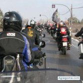 sigal3 foto #13