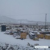 Chatear con picaardilla de Malargüe