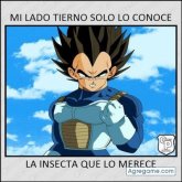 alfredo Ramos Sosa