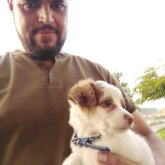 Hugo Alberto