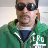 lobo blanco