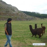 Chatear con jozeEme de Chiclayo