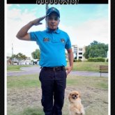 Busco hacer amistades. Busco amigos para