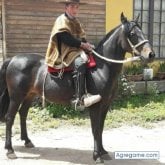Andres Villaseca