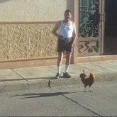 Diversion
Y 
Conocer personas.