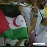 Foto de perfil de saidsahrawi