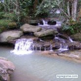 jazar3871 foto #6