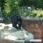 chamucoxtremo foto #28