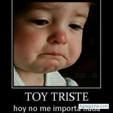 Muryn chico soltero en Panamá