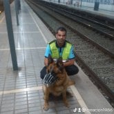 Camarero. Busco conocer gente. Mujer.