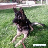 edgar18 foto #16