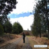 Chatear con segundogeorge de San Miguel De Salcedo