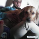 Foto de perfil de andresgg1288