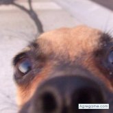 rusbyn foto #11