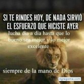 Chatear con ortizvictor7504 de Puerto Gaitán