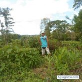 WILSANT chico separado en La Victoria